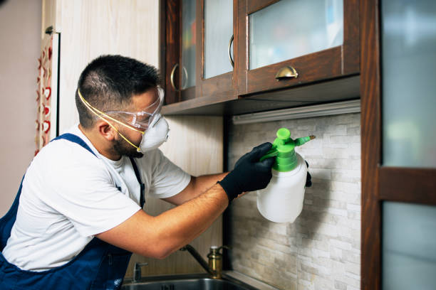 Best Commercial Pest Control Services  in Fortville, IN